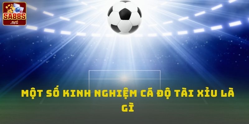 Một số kinh nghiệm cá độ tài xỉu là gì