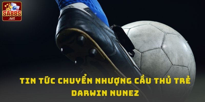 Tin tức chuyển nhượng cầu thủ trẻ Darwin Nunez