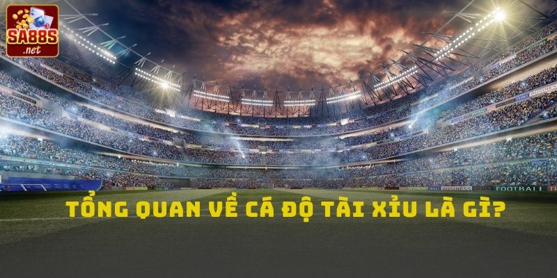 Tổng quan về cá độ tài xỉu là gì?