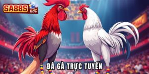 Đá gà trực tuyến