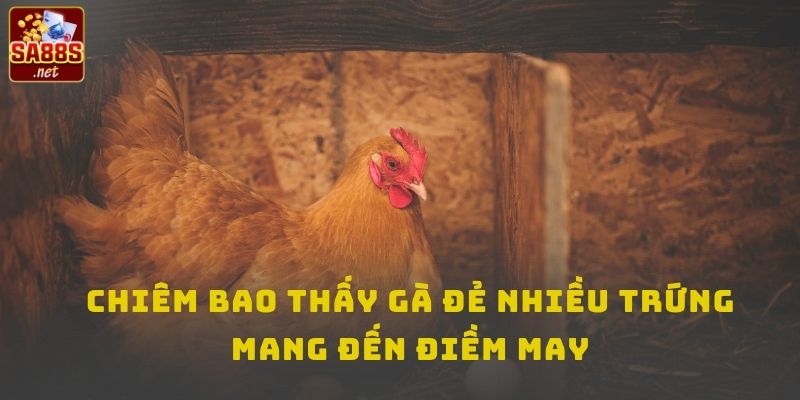 Mơ thấy gà đẻ trứng to là điềm may về tài chính